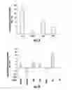 Fig. 07 - Compositions and methods useful for the prevention of malaria and dengue virus transmission