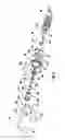 Fig. 04 - PERFORATED PLATE FOR MEAT GRINDING RECLAMATION SYSTEM