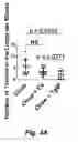 Fig. 04 - METHOD TO CONCENTRATE APOA-1 MIMETIC PEPTIDES TRANSGENICALLY EXPRESSED IN PLANTS
