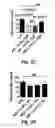 Fig. 09 - METHOD TO CONCENTRATE APOA-1 MIMETIC PEPTIDES TRANSGENICALLY EXPRESSED IN PLANTS