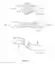Fig. 02 - BIOMECHANICS AWARE HEADGEAR