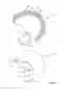 Fig. 07 - BIOMECHANICS AWARE HEADGEAR