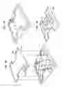 Fig. 49 - Anti-theft carrying strap