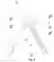 Fig. 08 - Travel bed