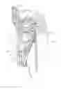 Fig. 07 - Latch for vacuum cleaner