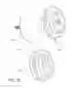 Fig. 26 - Autonomous surface cleaning robot for wet and dry cleaning