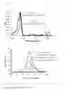Fig. 08 - Polymer-type fluorescent molecule probe