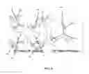 Fig. 10 - Wide field fundus camera