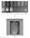 Fig. 07 - Method of fingerprinting with using carbogenic nanoparticle