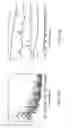Fig. 08 - INTRINSIC RAMAN SPECTROSCOPY