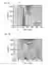 Fig. 08 - Methods and magnetic imaging devices to inventory human brain cortical function