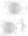 Fig. 02 - Dressing assembly