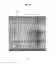 Fig. 10 - X-ray image forming device