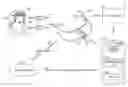 Fig. 01 - Sleep management device and methods for operation
