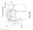 Fig. 79 - Method and apparatus for distracting a joint