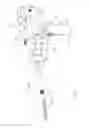 Fig. 02 - Surgical cutting and stapling end effector with anvil concentric drive member