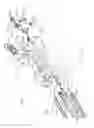 Fig. 15 - Interchangeable surgical tool assembly with a surgical end effector that is selectively rotatable about a shaft axis