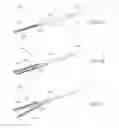 Fig. 06 - TISSUE STAPLERS, STAPLER HEADS, AND METHODS OF SURGICALLY FASTENING AND CUTTING A BODILY TISSUE