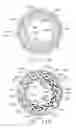 Fig. 63 - Surgical stapling system comprising a jaw closure lockout