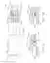 Fig. 33 - Surgical stapling system comprising a spent cartridge lockout