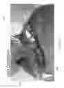 Fig. 37 - METHODS AND DEVICES FOR THERMAL SURGICAL VAPORIZATION AND INCISION OF TISSUE