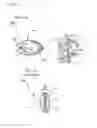 Fig. 05 - Methods and devices for soft tissue dissection