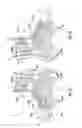 Fig. 02 - Foot and ankle support article