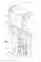 Fig. 02 - APPARATUS AND METHOD FOR SPINAL DISTRACTION