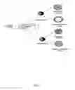 Fig. 02 - PHARMACEUTICAL COMPOSITIONS AND METHODS FOR THE TREATMENT OF DIABETES