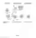 Fig. 07 - PHARMACEUTICAL COMPOSITIONS AND METHODS FOR THE TREATMENT OF DIABETES