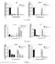 Fig. 07 - Substituted aminopurine compounds, compositions thereof, and methods of treatment therewith