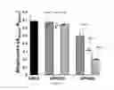 Fig. 05 - DERMOCOSMETIC OR PHARMACEUTICAL USE OF A COMPOSITION CONTAINING AT LEAST ONE INHIBITOR OF CERTAIN CHEMOKINES