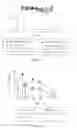 Fig. 04 - Methods for constructing antibiotic resistance free vaccines