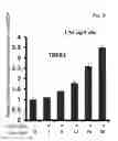 Fig. 09 - METHOD FOR TREATING CANCER USING TETRADRINE