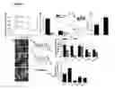 Fig. 02 - Methods for treating and/or limiting development of diabetes in subjects with amyotrophic lateral sclerosis