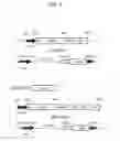 Fig. 02 - Antibodies to TIGIT