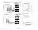 Fig. 08 - Photodynamic therapy composition