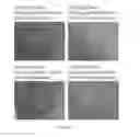 Fig. 09 - Photodynamic therapy composition