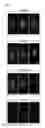 Fig. 09 - SYSTEMS AND METHODS FOR SCREENING OTOTOXIC, OTOPROTECTIVE, AND OTOREGENERATIVE COMPOUNDS USING AQUATIC MODELS