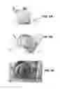Fig. 08 - THREE-DIMENSIONAL BIOPRINTED ARTIFICIAL CORNEA