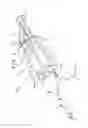 Fig. 02 - Applicator