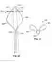 Fig. 23 - Method and apparatus for intra-aortic substance delivery to a branch vessel