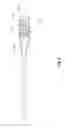 Fig. 09 - Peripheral intravenous catheter with winged grip