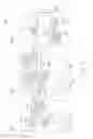 Fig. 06 - LEADLESS SPINAL CORD STIMULATION SYSTEM AND METHOD INCLUDING SAME