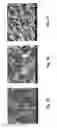 Fig. 02 - NANOSTRUCTURED APPARATUS AND METHODS FOR PRODUCING CARBON-CONTAINING MOLECULES AS A RENEWABLE ENERGY RESOURCE