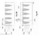 Fig. 13 - NANOSTRUCTURED APPARATUS AND METHODS FOR PRODUCING CARBON-CONTAINING MOLECULES AS A RENEWABLE ENERGY RESOURCE