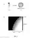 Fig. 03 - Superficially porous particles with dual pore structure and methods for making the same
