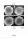 Fig. 04 - Superficially porous particles with dual pore structure and methods for making the same