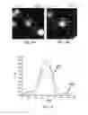 Fig. 08 - Method of metallic clusters fabrication with desired size using scanning tunneling microscopy tip induced reactions