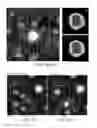 Fig. 09 - Method of metallic clusters fabrication with desired size using scanning tunneling microscopy tip induced reactions